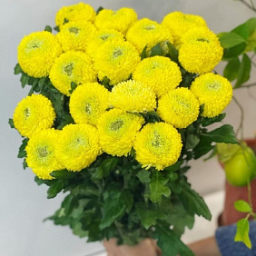 Букет цветов "Яркое настроение" №173