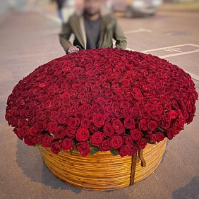 гигантский букет 801 красная роза в корзине