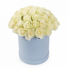 25 белых роз в голубой шляпной коробке №176