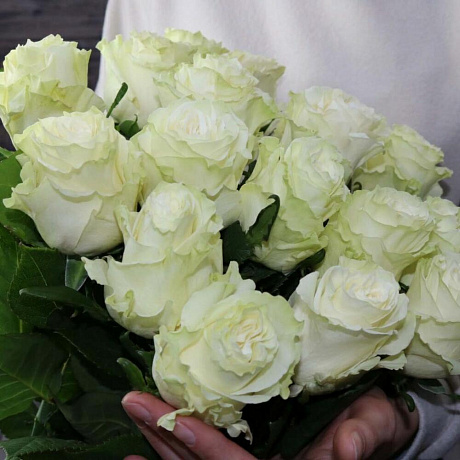 Роза Эквадор Мондиаль 15 штук - Фото 4