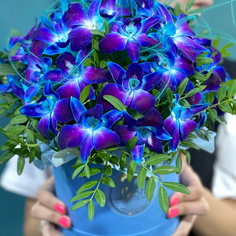 Букет цветов Космос в шляпной коробке №160 - Фото 3