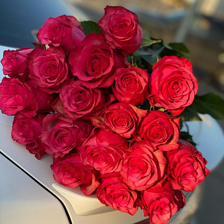 Роза лола - Фото 2