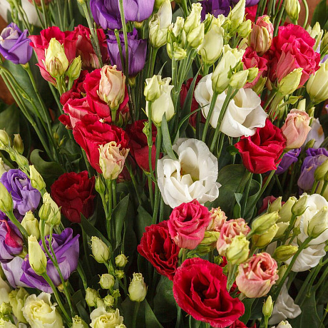 Букет из эустомы Мираж (макси) №2 - Фото 3