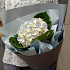 Букет цветов Очаровательная гортензия - Фото 2