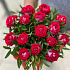 Букет цветов Би Бабблс в шляпной Коробке - Фото 5