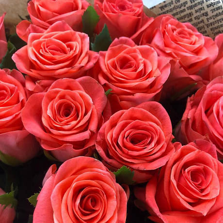 Букет Вау из 31 розы - Фото 6