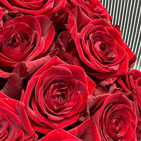Букет из 51 розы стрела Амура - Фото 5