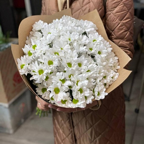 Букет из 15 кустовых хризантем №164