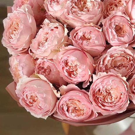 Пионовидная Роза Джульетта wow эффект - Фото 4