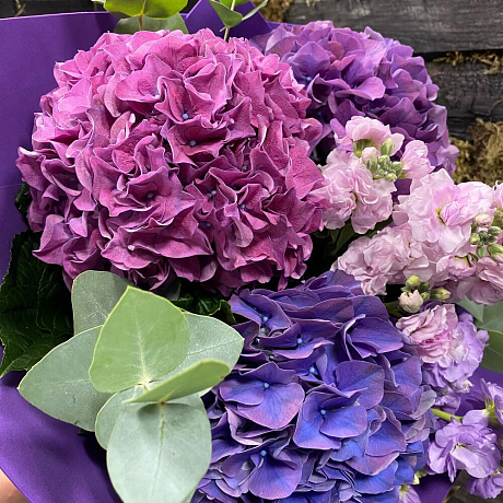 Букет из Гидрангии - Фото 2