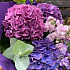 Букет из Гидрангии - Фото 2
