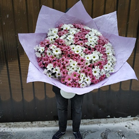 Букет хризантем Девичья любовь