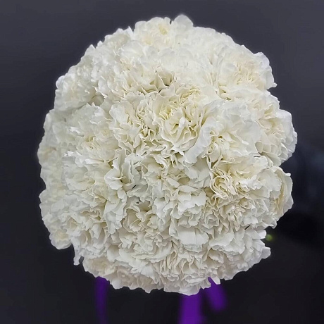 Ароматные белые диантусы - Фото 2