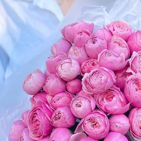 Пионовидные Розы Silva Pink - Фото 3