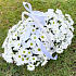 Букет цветов Солнечная корзина №160 - Фото 3