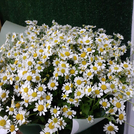 Букет Ромашковая полянка №160 - Фото 2