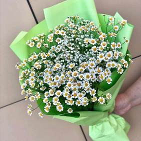 Букет «Любимые ромашечки»