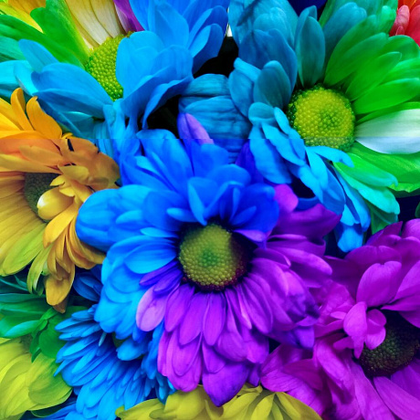 Букет цветов Chrysanthemus Rainbow Box - Фото 5