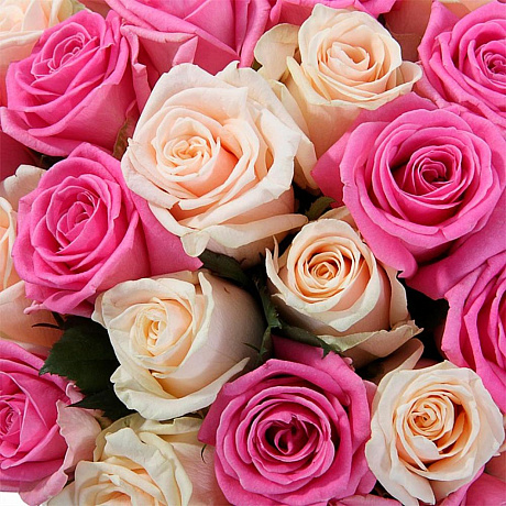 101 бело-розовая роза (50 см) - Фото 4