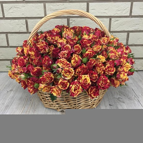Кустовые розы №162