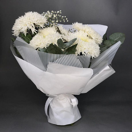 Белые сортовые хризантемы №2 - Фото 2