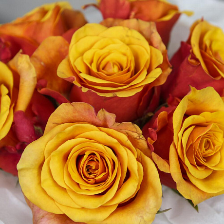 Коробка цветов комплимент «Бурже» - Фото 4