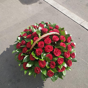 79 красная роза в корзине