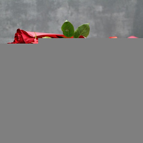 Букет цветов "эксплорер"