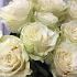 Роза Мондиаль 70 см 15 шт - Фото 3