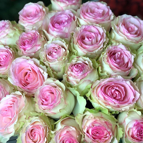 Букет роз Эсперанса - Фото 2