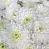 Букет с хризантемами Классика  - Фото 2