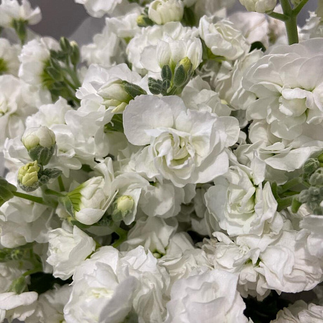 Букет цветов Сияние №162 - Фото 3