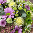 Цветы в коробке Ева - Фото 4