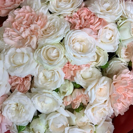 Розовые диантусы №163 - Фото 5