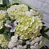 Букет цветов Красавчик №163 - Фото 5