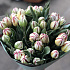 Пионовидные тюльпаны 51 шт - Фото 3