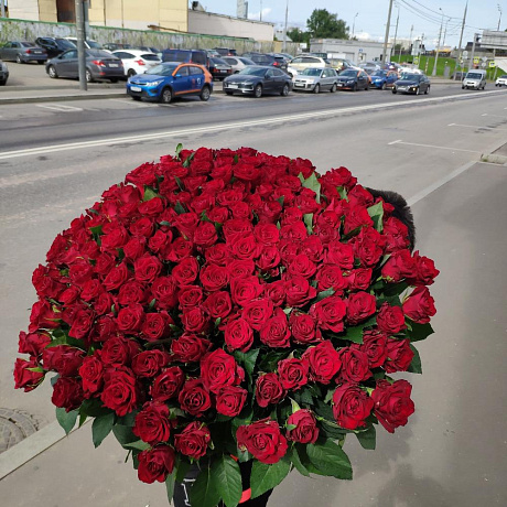 201 роза красная Премиум - Фото 5