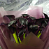 Букет из 20 чернильных калл Букет темных калл Каллы - Фото 3