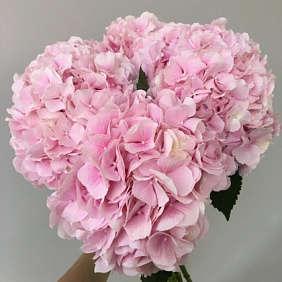 Букет с гортензиями №203