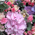 Букет цветов Розовая корзина - Фото 5