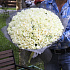 151 белая роза №160 - Фото 1