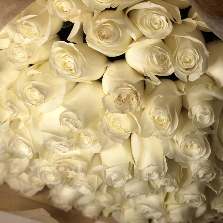 101 белоснежная роза Эквадор - Фото 5