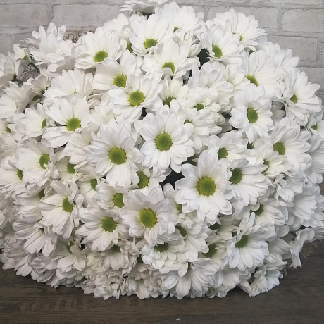 Букет Хризантема белое небо - Фото 6