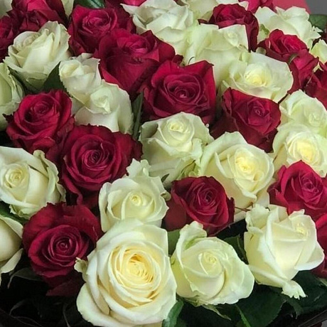 Букет из 51 красных и белых роз - Фото 2