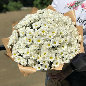 Букет из 35 хризантем. N425