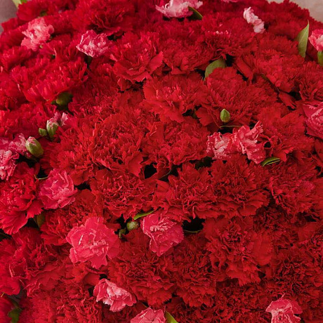 Букет из 109 красных гвоздик - Фото 3