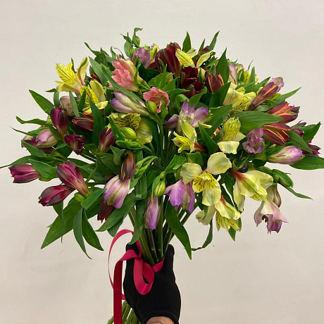 21 Альстромерия - Фото 3