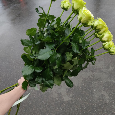 Роза 15 штук, 90см, атласная лента - Фото 4
