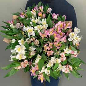 Альстрамерии микс