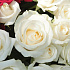 151 роза в корзине в виде сердца - Фото 6